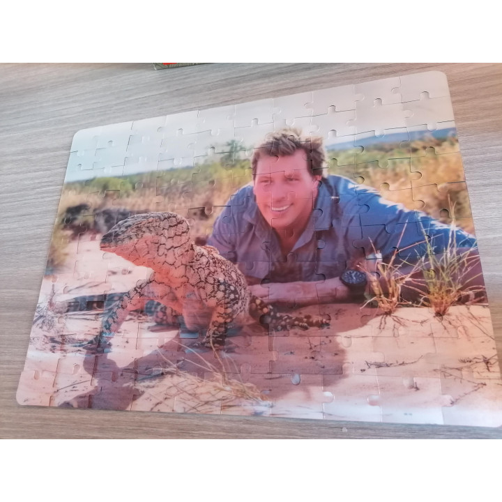 Freeks 3D-Puzzel - Hagedis & Freek Vonk - 100 Stukjes